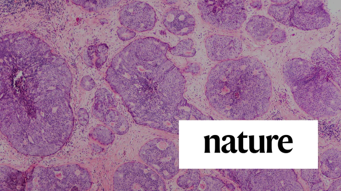 Scientific Articles V2